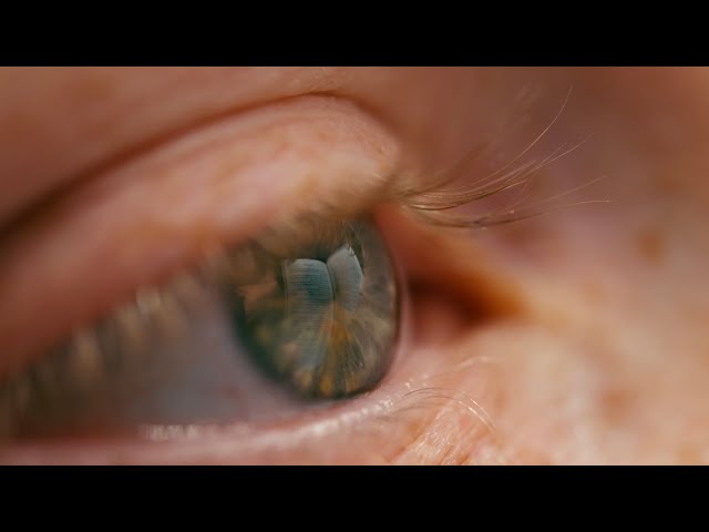 Why Every Cinematographer Needs a Macro Lens | DZO VESPID 90mm Macro