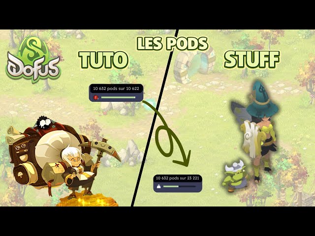 Tuto Pods + Stuff Opti | Dofus