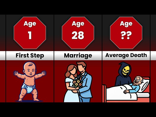 Average Human Life From Birth To Death - Timeline Comparison