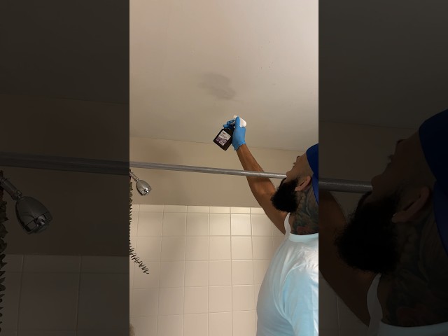 How to get rid of mold in your bathroom
