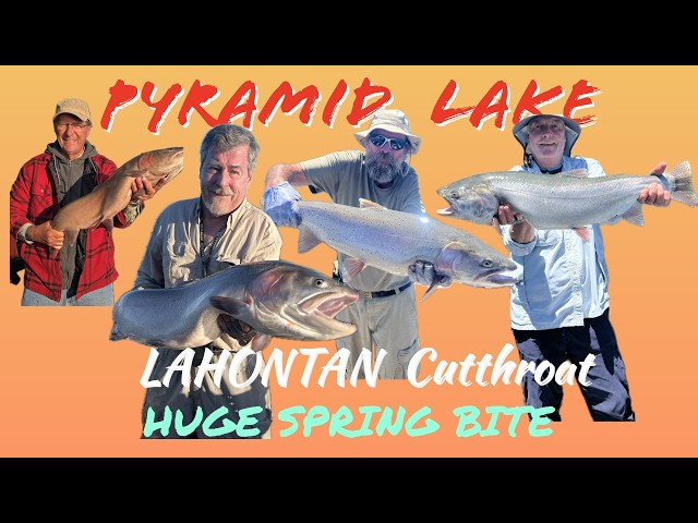 Pyramid Lake HUGE Spring Trout Bite.