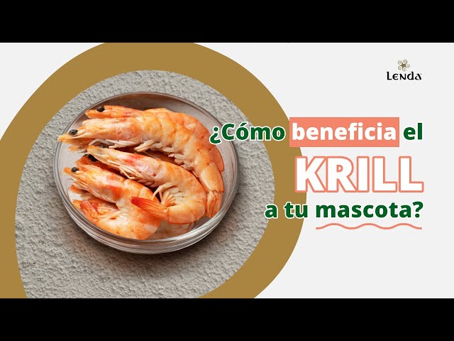 Beneficios del krill en la alimentación Lenda de tu mascota