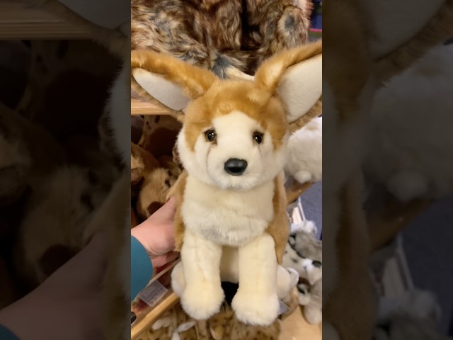 Adorable Douglas plushie finds! #plushies #stuffedanimals #douglas #stuffies