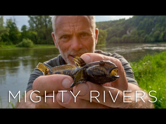Jeremy Wade's Mighty Rivers - Full Episode 2 - The Danube