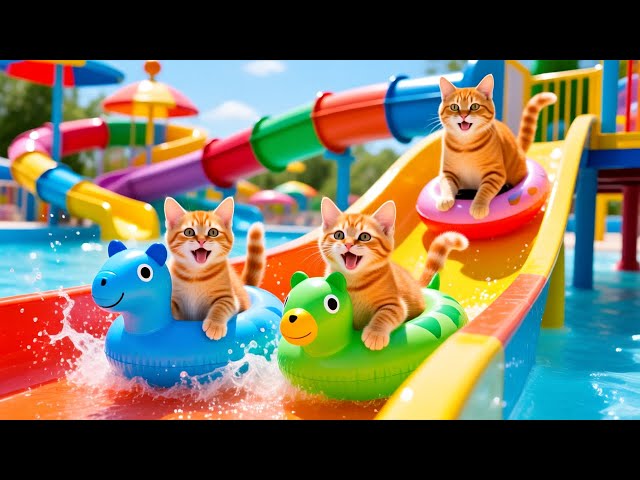 Mama Cat Trims Fur on the Farm and Makes Tiger Hat For Kittens At Home🐾🎩🐯