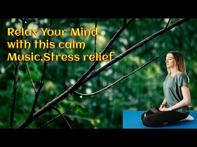 Sleeping and Calm Music | Water drop | Rain sound | Relax Sound | Stress Relief