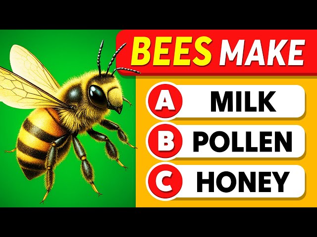 Are You Smarter Than a High School Student? 🤓✅🏆 General Knowledge Quiz