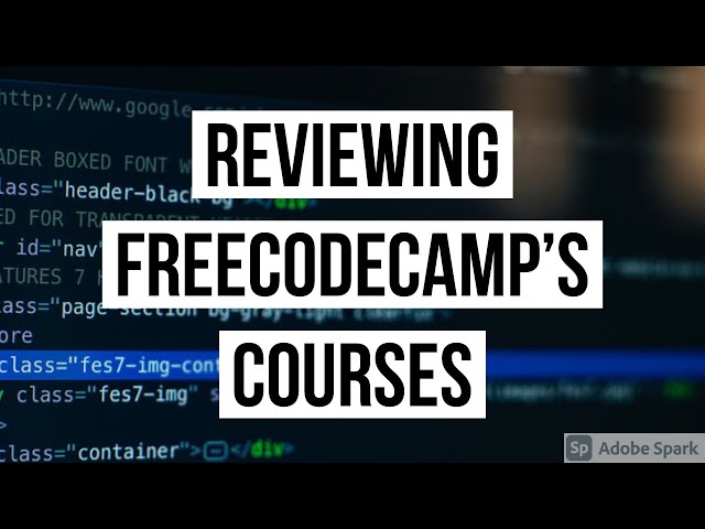 Reviewing freeCodeCamp's FREE Data Analysis & Machine Learning Courses | Learn DS/ML for FREE!