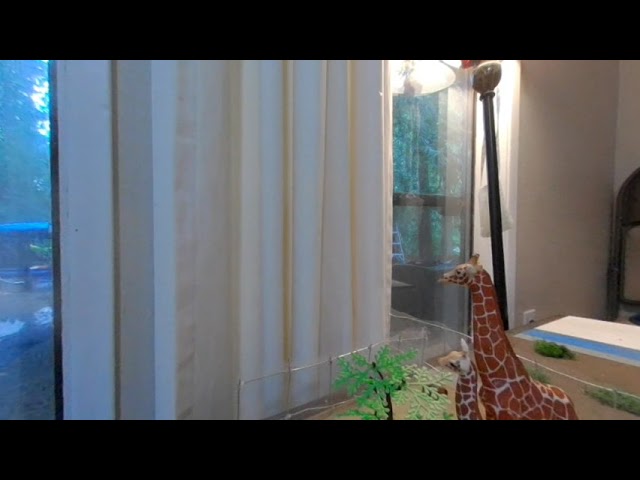 Zoo Model 3D Tour Giraffes