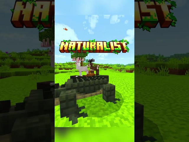 🌿 NATURALIST — MINECRAFT COMES TO LIFE! #minecraft #minecrafttutorial #addons