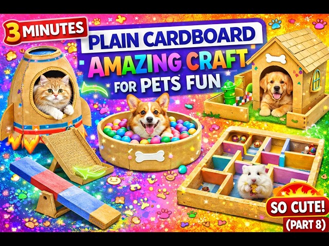 5 Amazing Plain Cardboard Crafts for Pets Fun (Part 8)