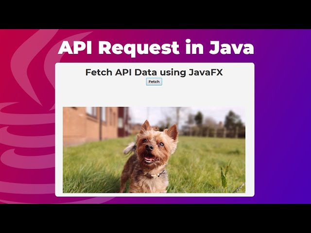 How to connect to an API using JavaFX | Dog API
