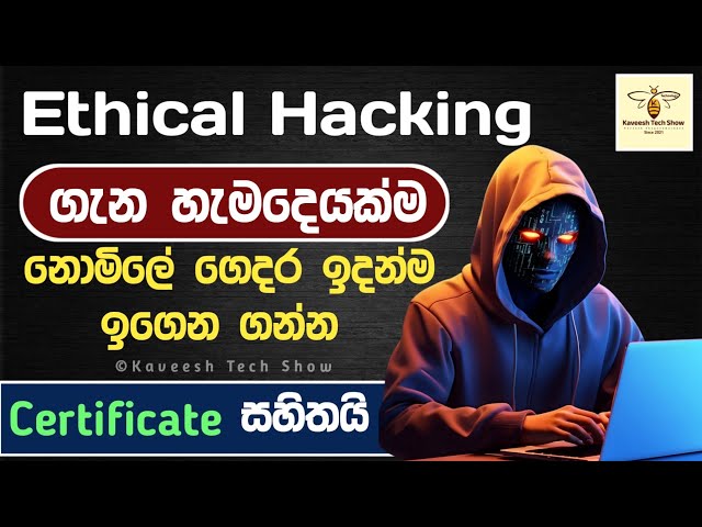 Ethical Hacking Sinhala | Free Full Course for Beginners with Hacker X App (Step-by-Step Guide)