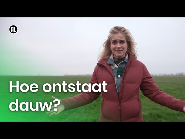 Hoe ontstaat dauw? | Vragen van Kinderen
