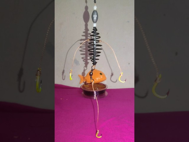 Ultimate Fishing Rig Setup 🎣 Easy DIY Feeder Hook Hack #shorts #fishinglifestyle