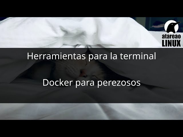 Docker para perezosos. Lazydocker