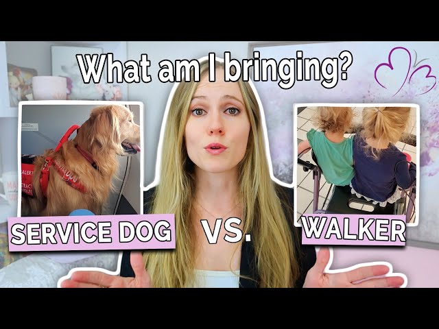 Walker vs Service Dog for POTS – What Really Works? // Which Mobility Aid is Right for You?