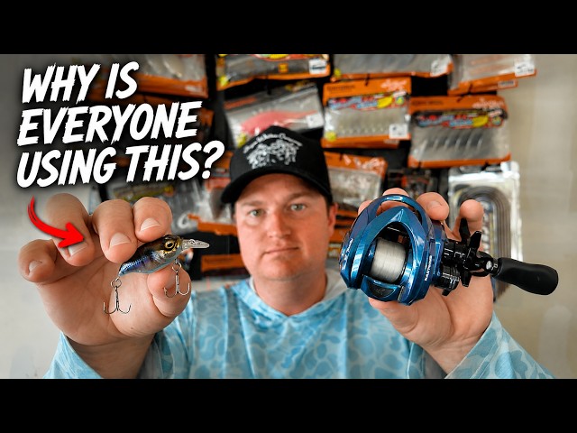 What is BFS Fishing? The Complete Beginner's Guide to Bait Finesse Bass Fishing