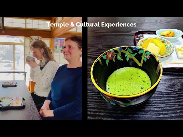 Local Living Tour | Authentic Local Experiences in Tochigi, Japan