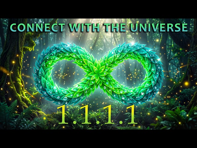 1111Hz Connect with the Universe - Receive guide from the Universe