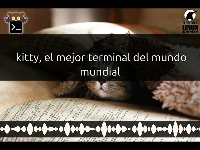 253 - Kitty, el mejor terminal para Linux