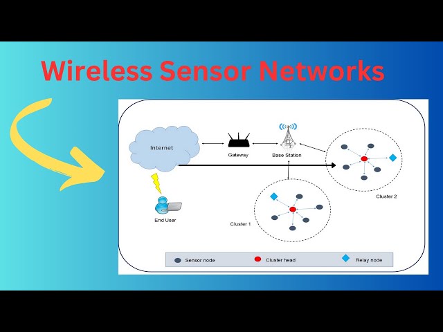 Wireless Sensor Networks