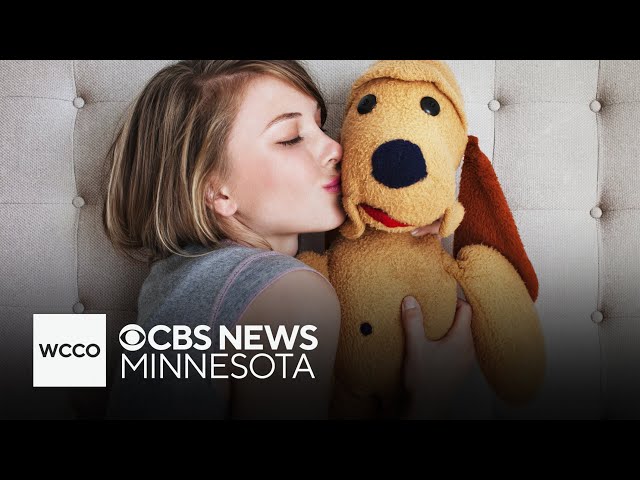 Adults sleeping with stuffed animals is a good thing, experts argue