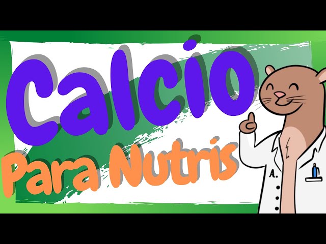 What is Calcium and what is it for? / Calcium in Nutrition