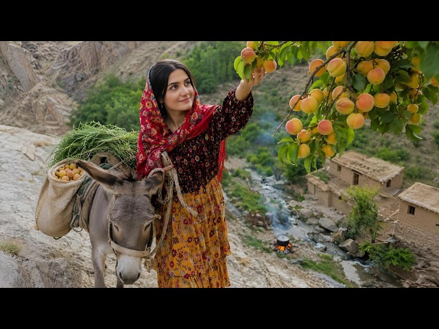 Traditional Cooking & Donkey Riding By A Beautiful Girl | Village Lifestyle Iran