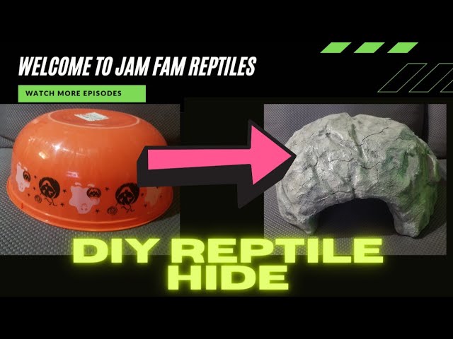 DIY Reptile hide
