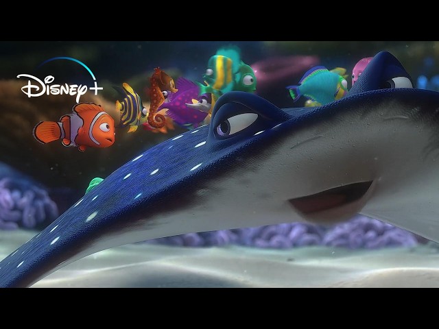 Finding Nemo - Nemo's First Day of School (Movie Clip)