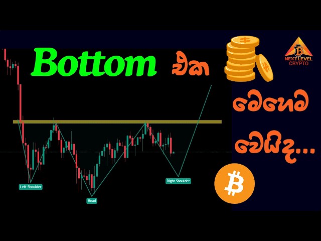 Bottom එක මෙහෙම වෙයිද...| BTC Update Sinhala