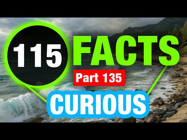115 Seriously Random Facts