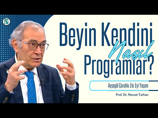 How Does the Brain Program Itself?