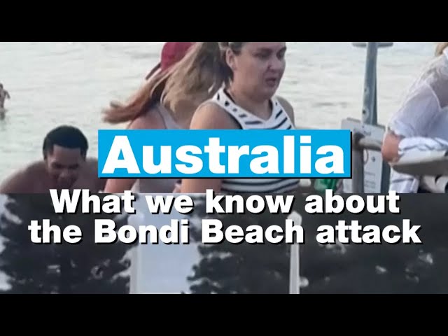 Australia: What we know about the Bondi Beach attack on a Jewish festival • FRANCE 24 English
