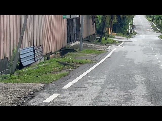 Biawak besar seberang jalan