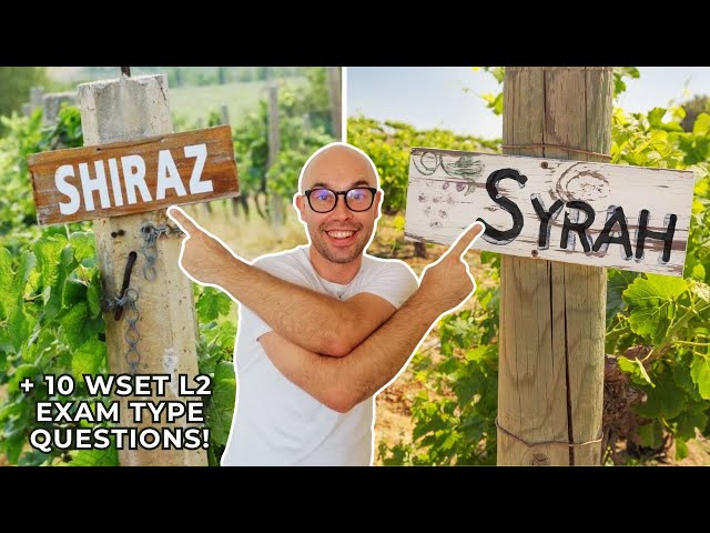 Shiraz / Syrah for WSET Level 2 in Wines (+10 WSET exam type questions)
