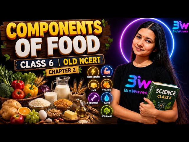 Components of Food 🍎 | Class 6 Science Chapter 2 | Old NCERT | Full Chapter in One Shot