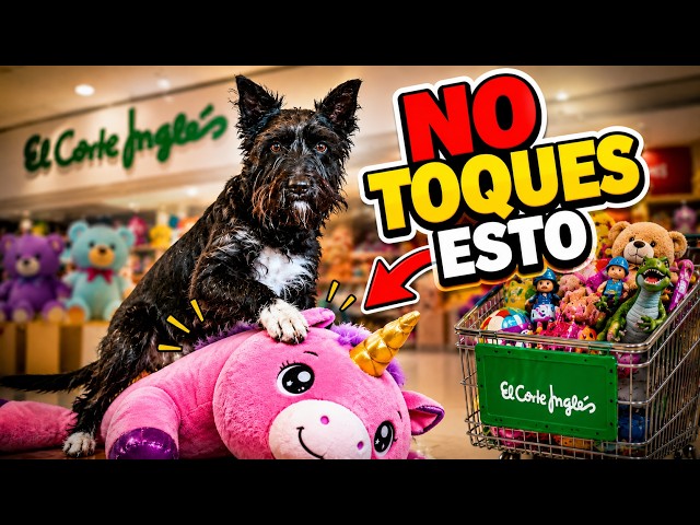 💰 CHALLENGE: I'll BUY my DOG EVERYTHING he can get his hands on at El Corte Inglés! 😨