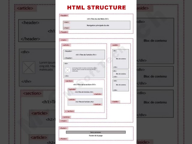 HTML basic structure #html5 #shorts #shortsfeed #webdesign #webdevelopment #coding #cssanimation