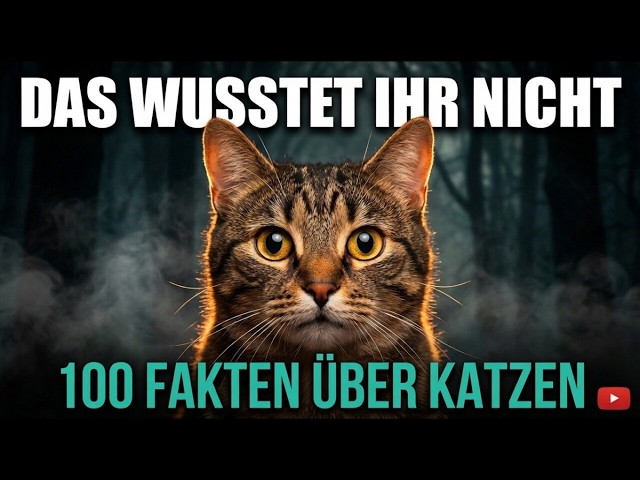 100 Crazy Facts About Cats That Will Blow Your Mind! 🐱 | The Ultimate Cat Documentary