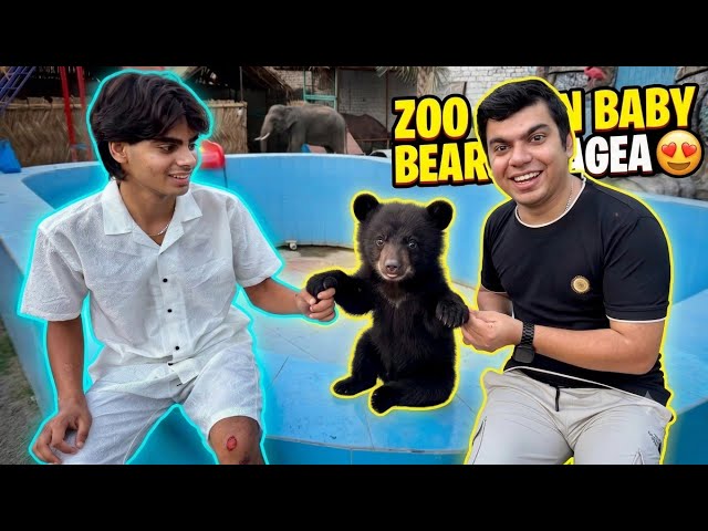 Mini Zoo Mein Baby Bear Agea 😱 - Sw Pet House 