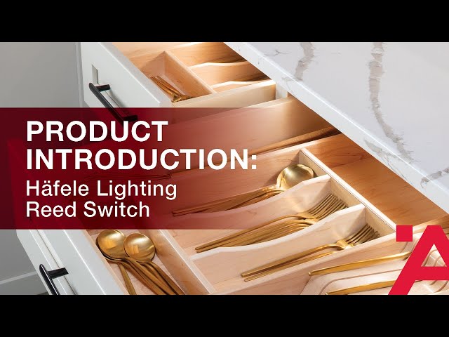 Product Introduction: Magnetic Reed Switch