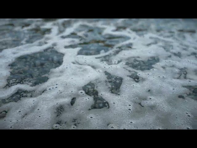 Hip File/ Whitewater/ Ocean foam/ Flip simulation/ Custom Solver - Houdini Fx/ Karma XPU