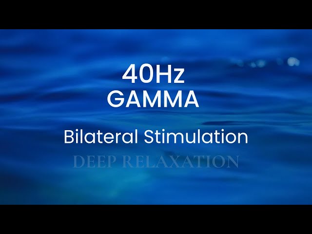 Neural Bridge | 40Hz Gamma + Bilateral Stimulation — Focus & Emotional Processing [1H]