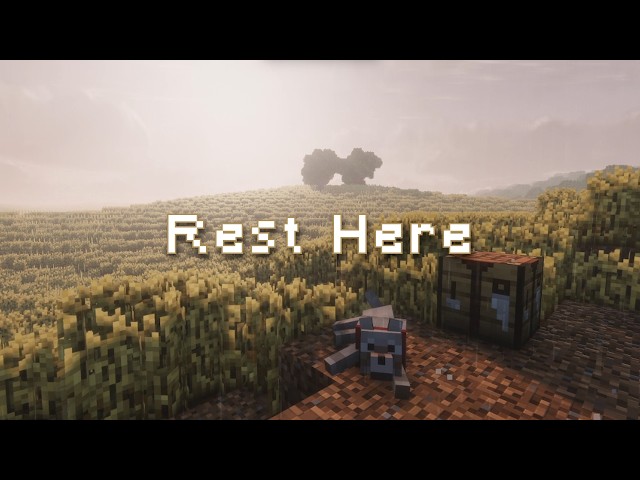 you can finally let your guard down...  (minecraft c418 music & gentle rain ambience)