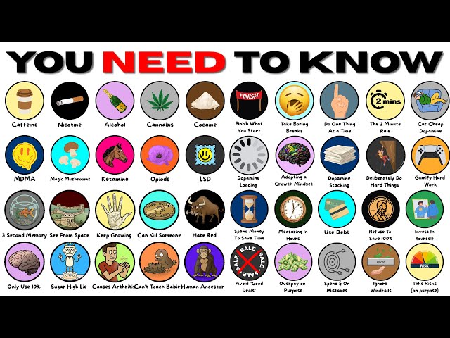 Everything You ACTUALLY Need to Know, Explained