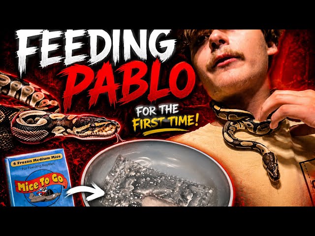 😳 I Was Nervous Feeding Pablo… Then THIS Happened!
