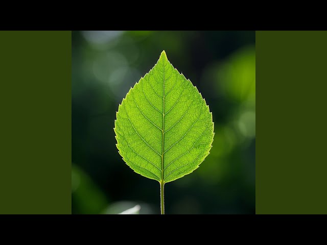 Coban Radio Call for Help