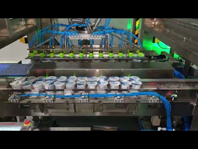 Automated Secondary Packaging System | Complete Line Integration